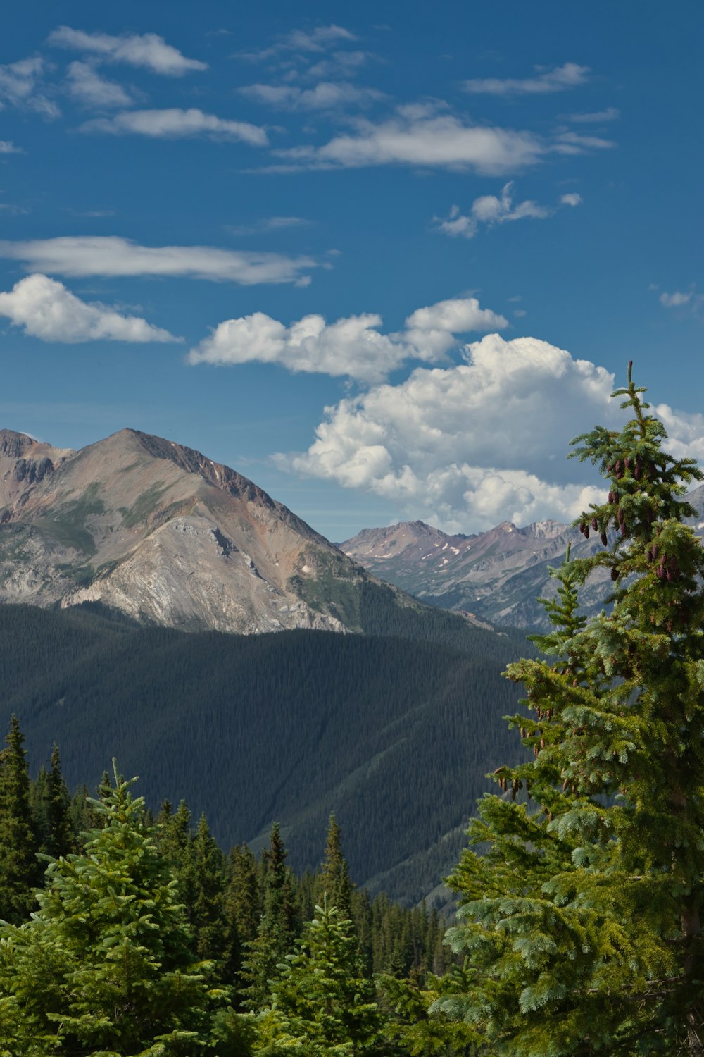 a mountain range with trees