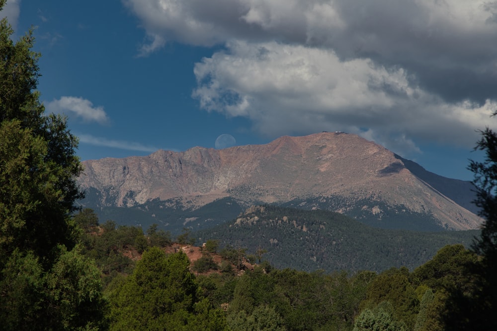 a mountain with trees below