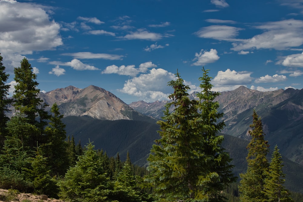 a landscape with trees and mountains in the back