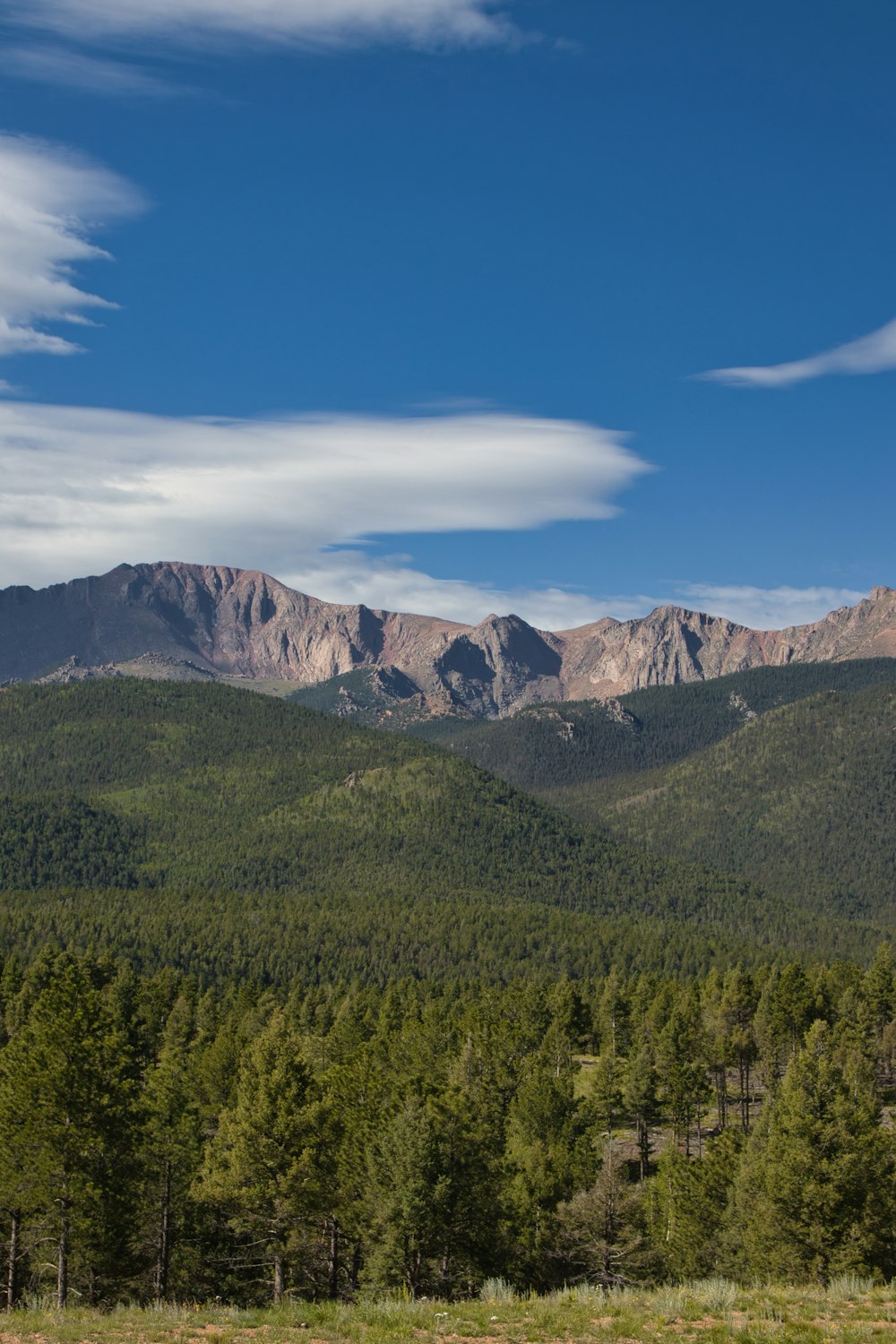 Un paesaggio con alberi e montagne nella parte posteriore