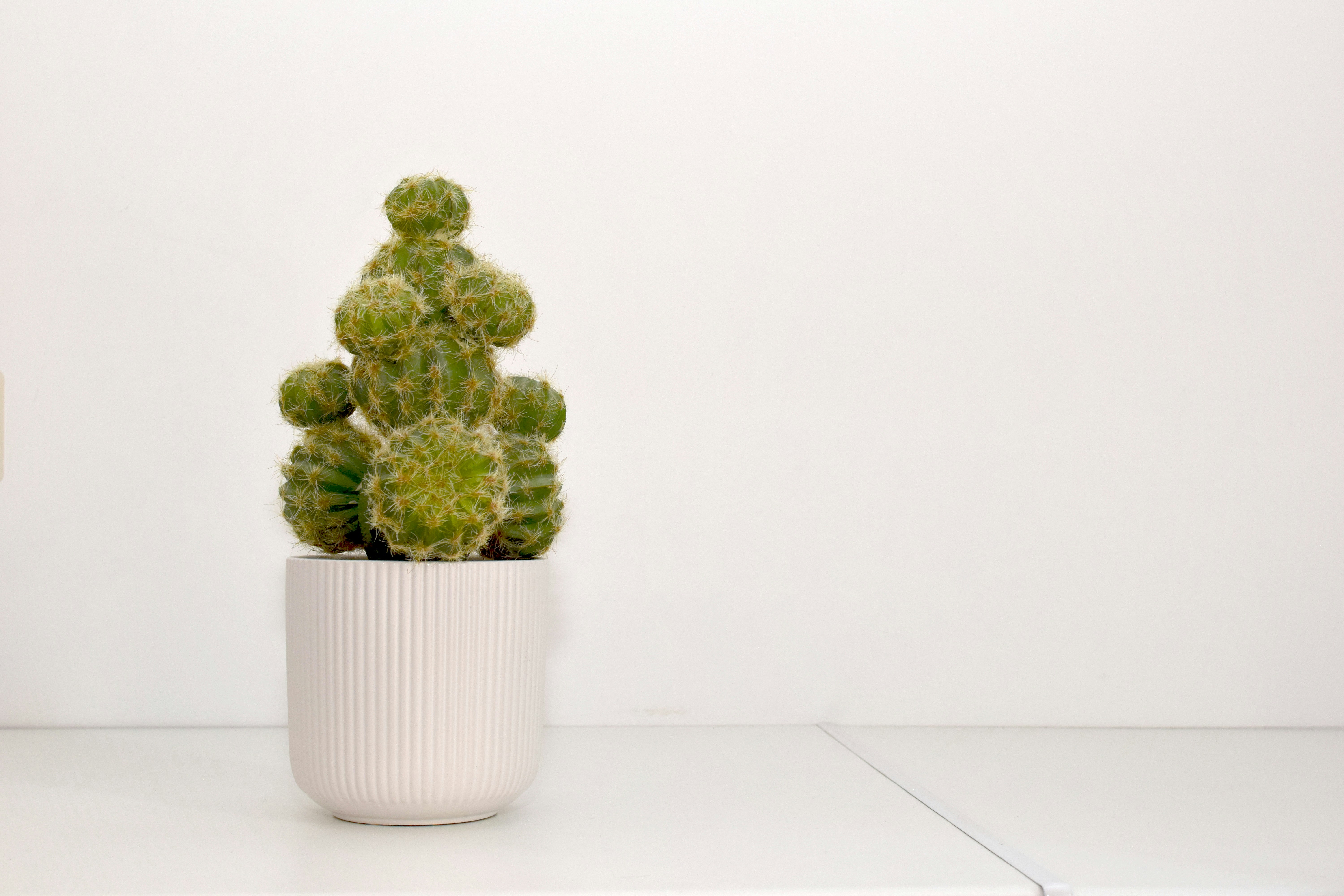 Photo by hitomibremmer