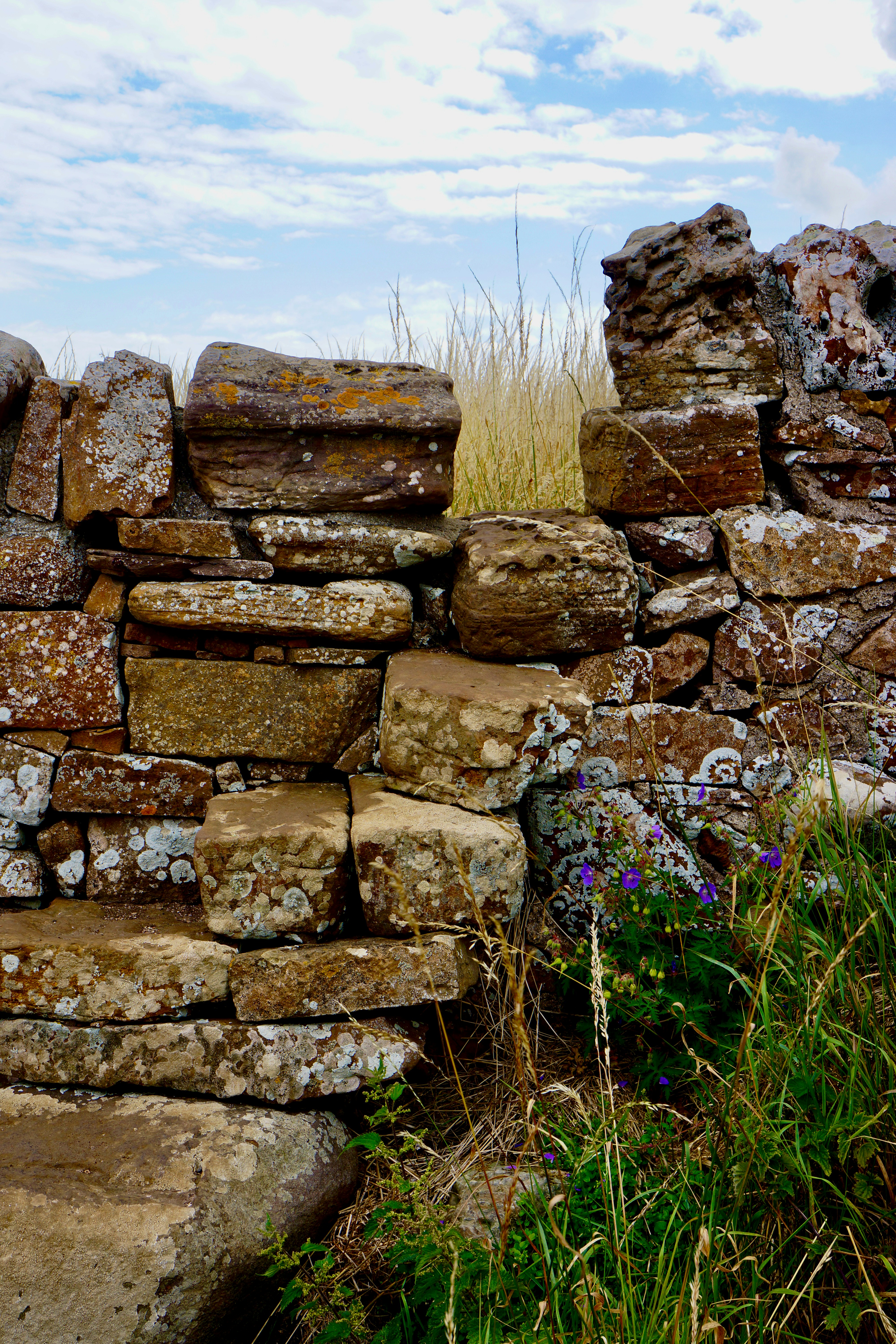 Photo by peterburdon