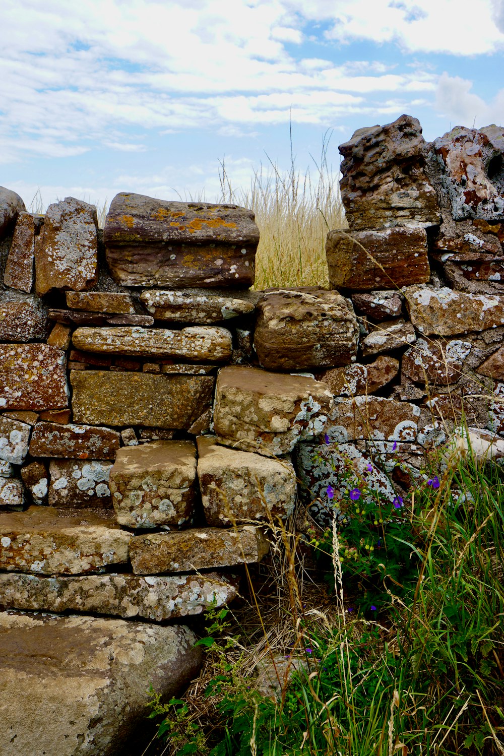 a stone wall with a flower bed