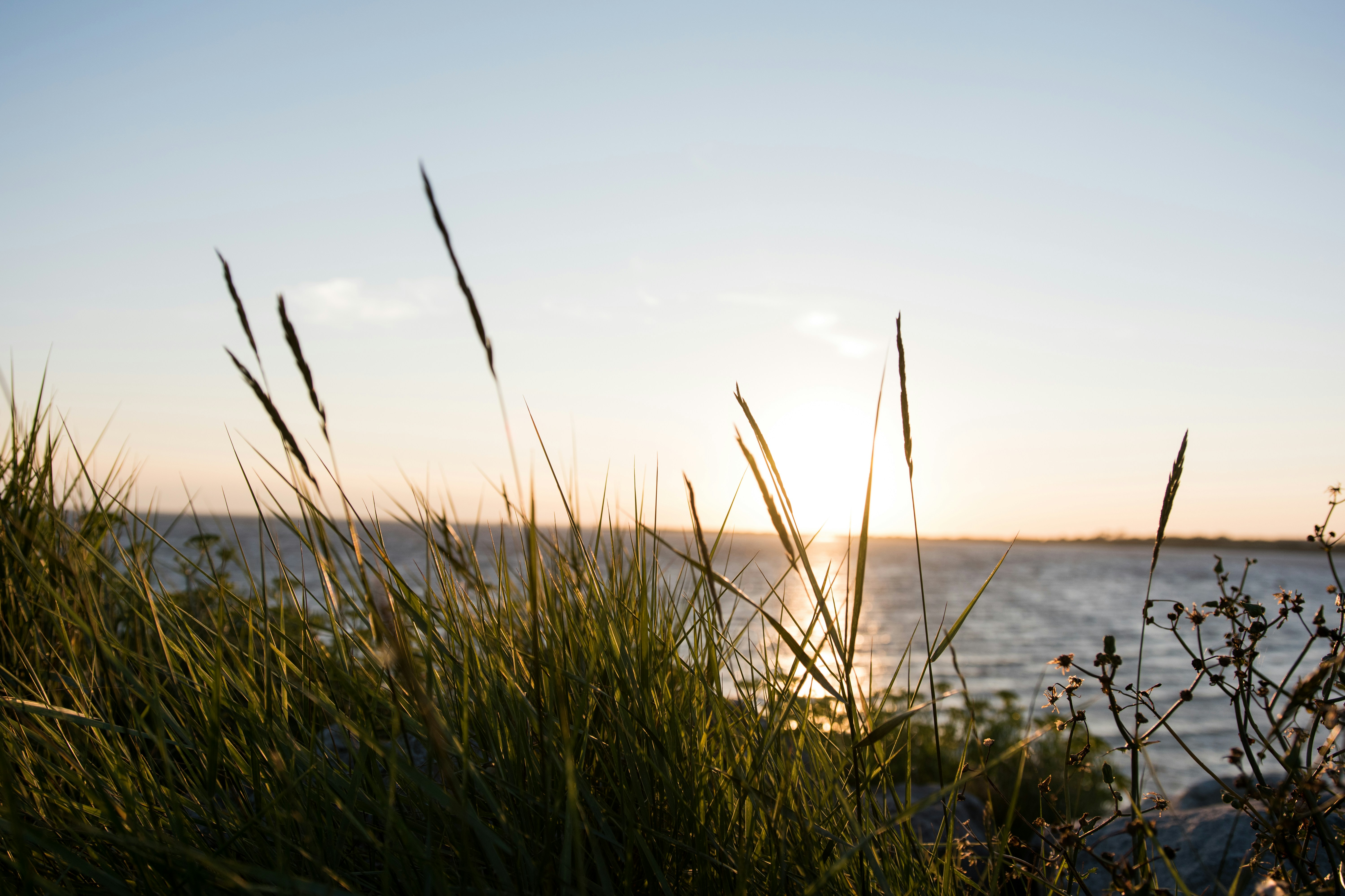 Photo by ptrlt_photo