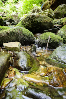 a stream of water flowing over rocks