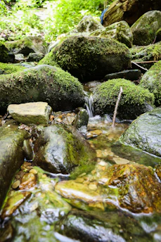 a stream of water flowing over rocks