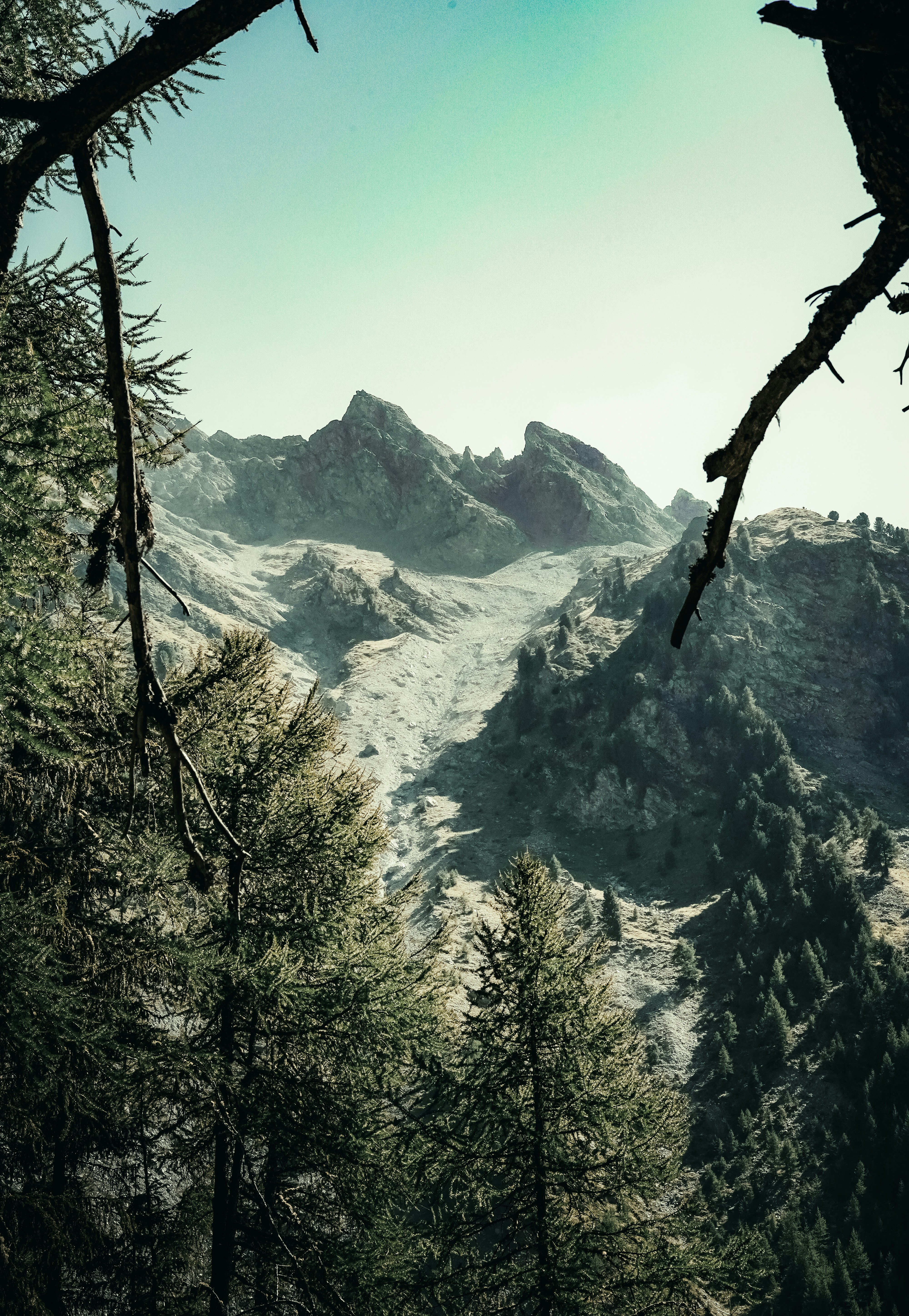 Photo by baptistebuiss