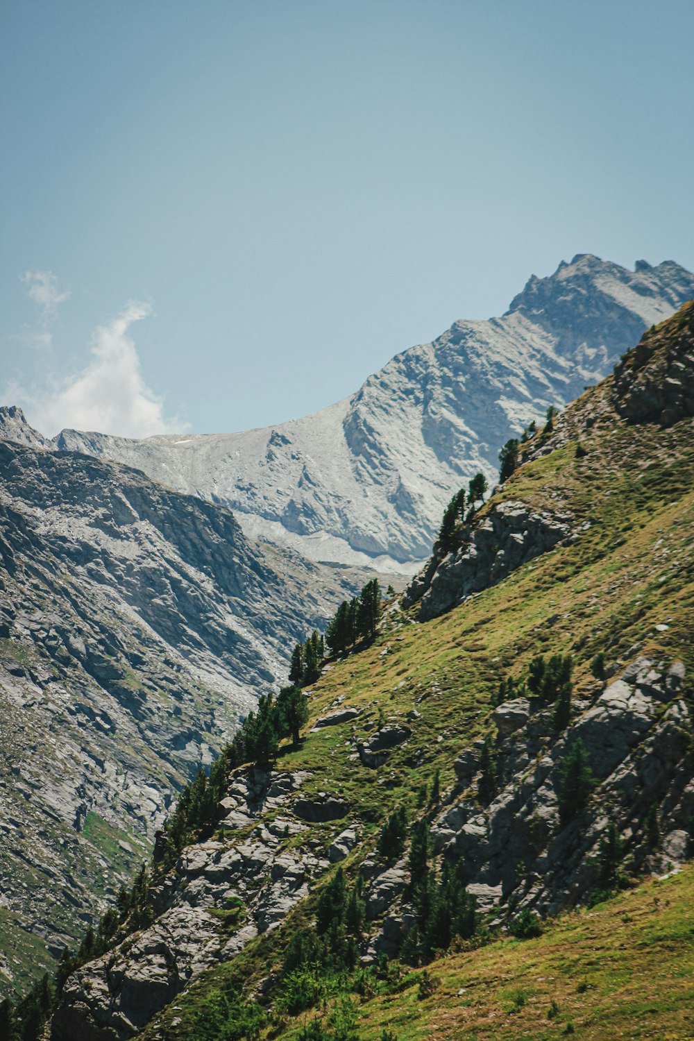 a mountain with trees on it