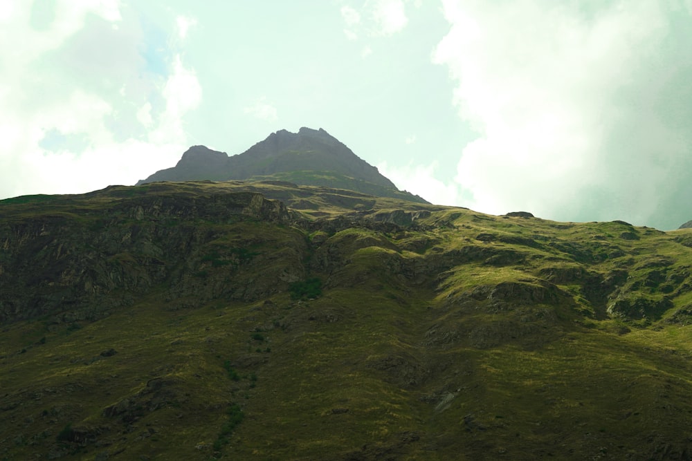 a grassy hill with a mountain in the background