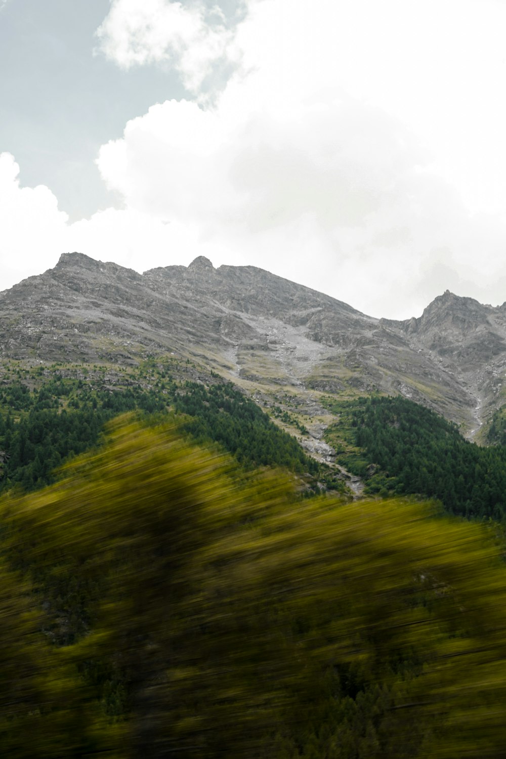 Una zona de césped con árboles y montañas al fondo