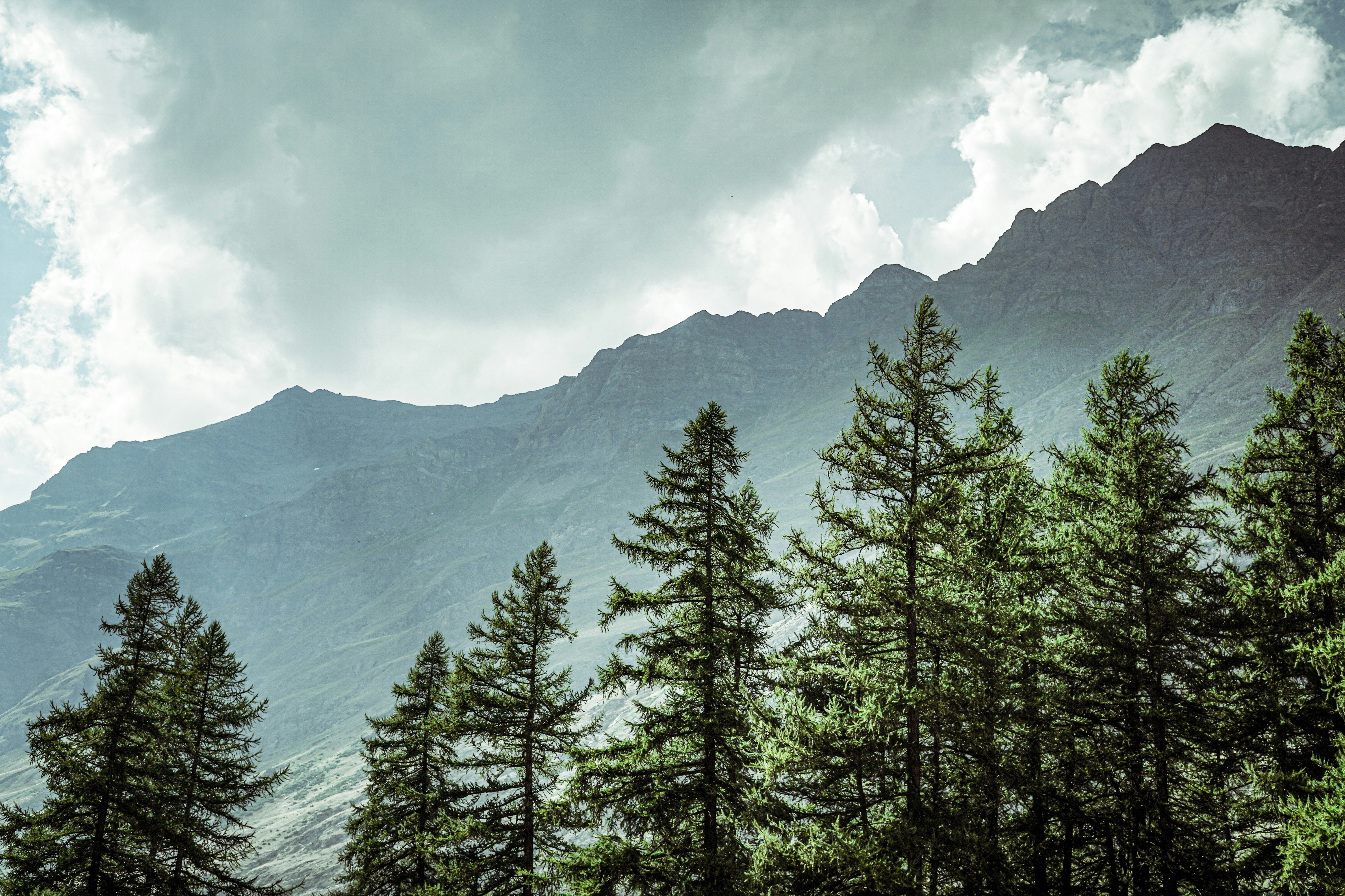 Photo by baptistebuiss