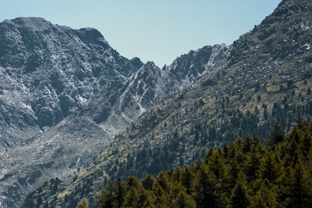 a mountain with trees below