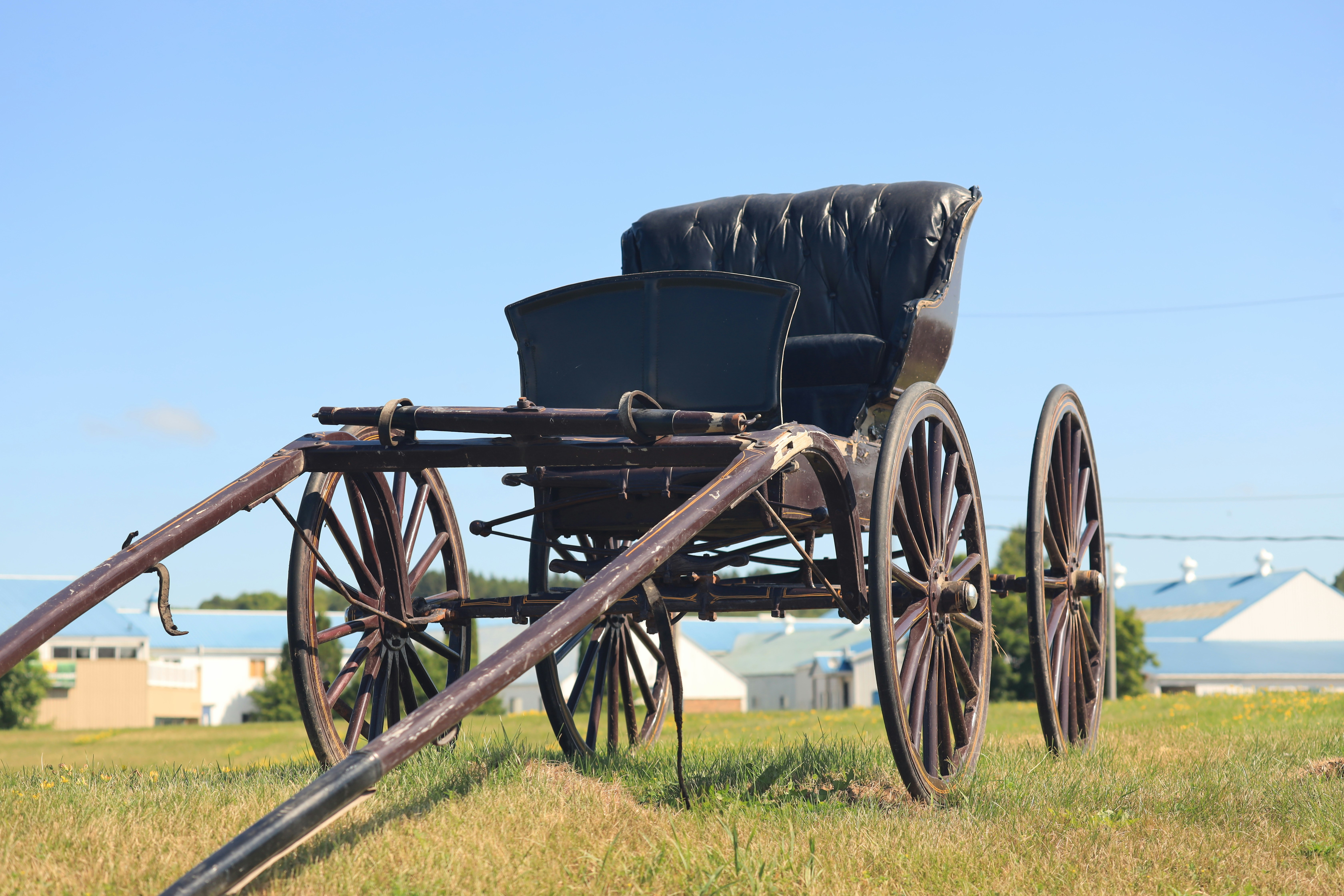 Photo by richardworks