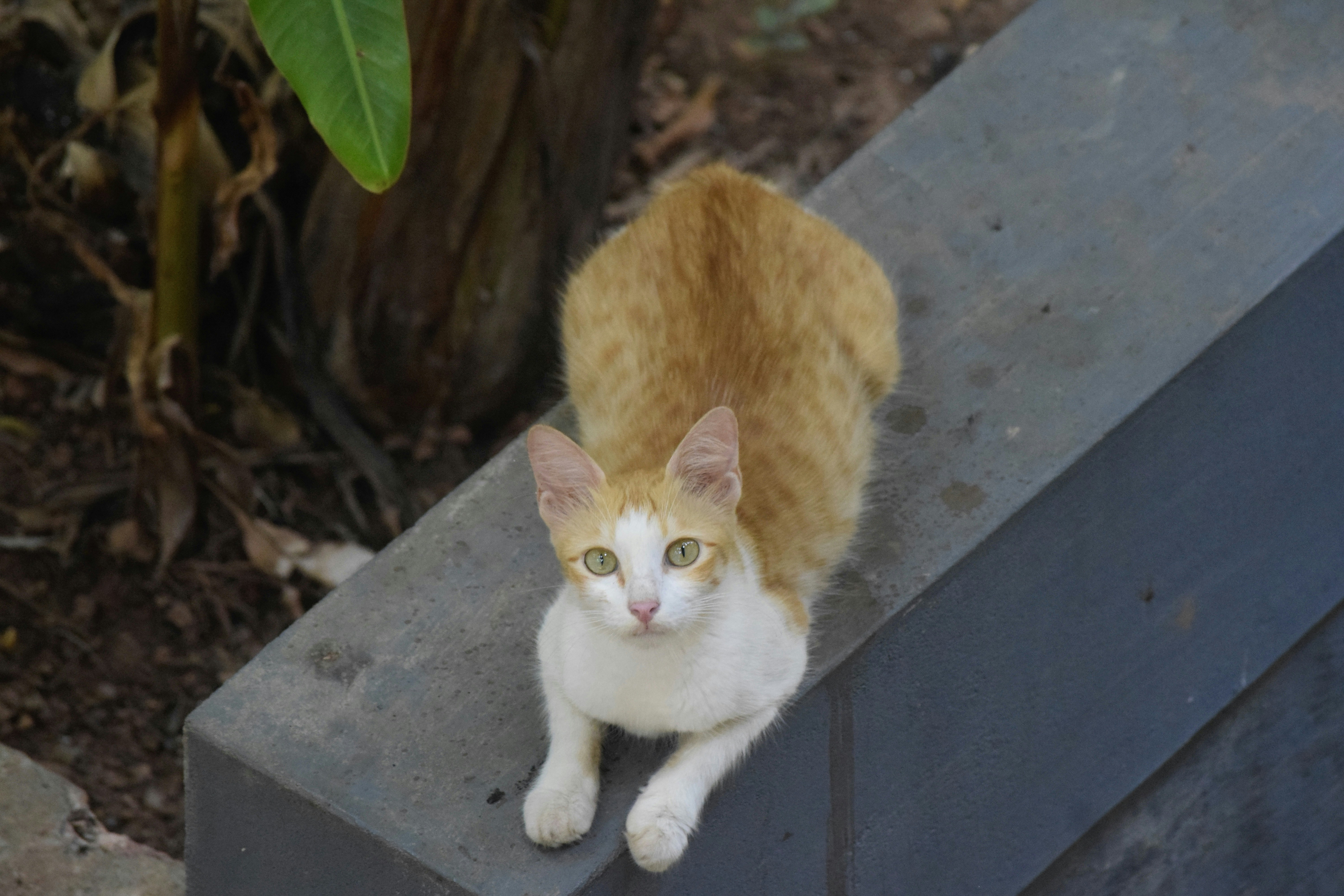 Photo by praswinprakashan