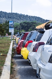 A row of various rental cars parked in a sunny outdoor lot.