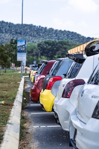 A row of various rental cars parked in a sunny outdoor lot.