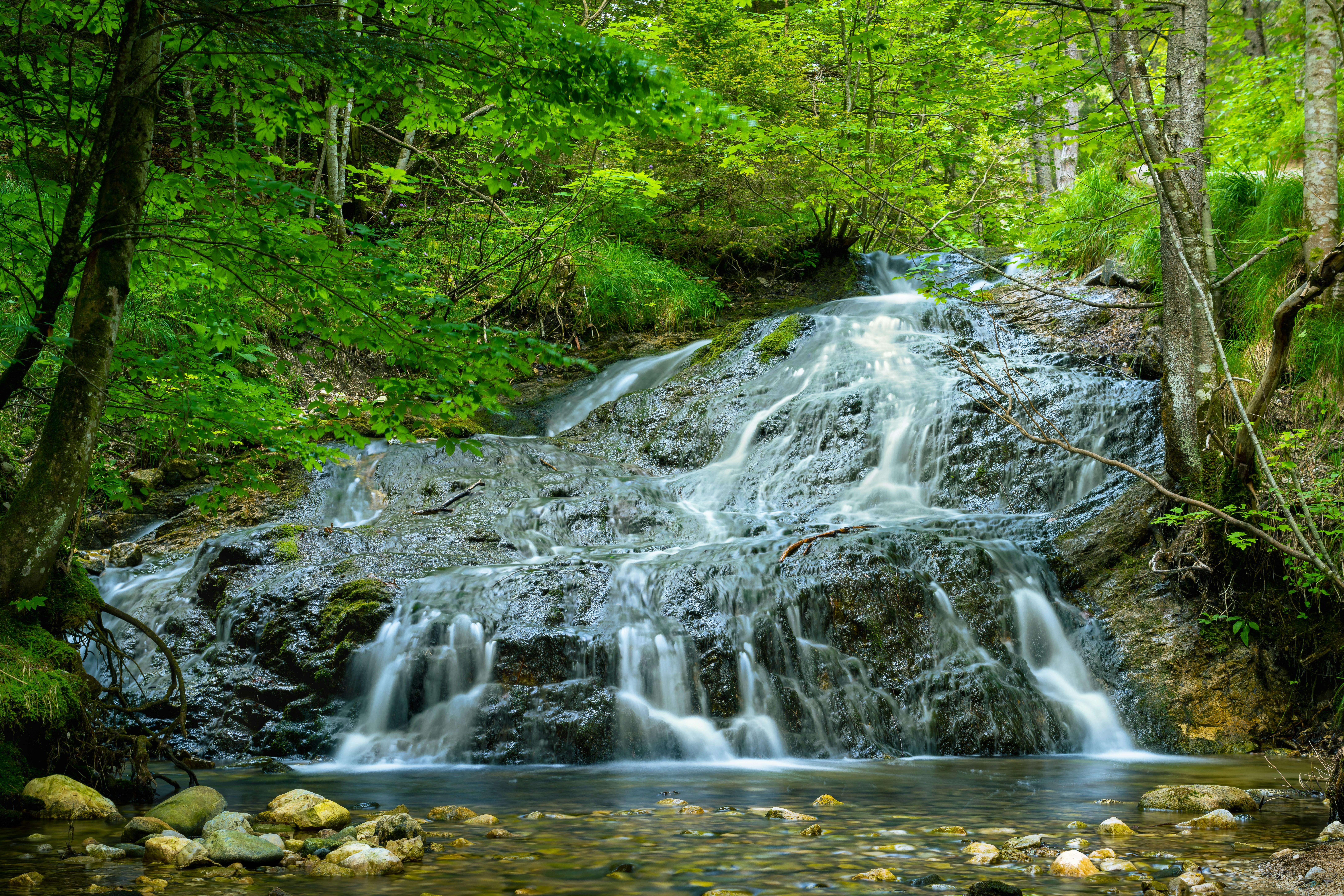 Photo by picture_scape