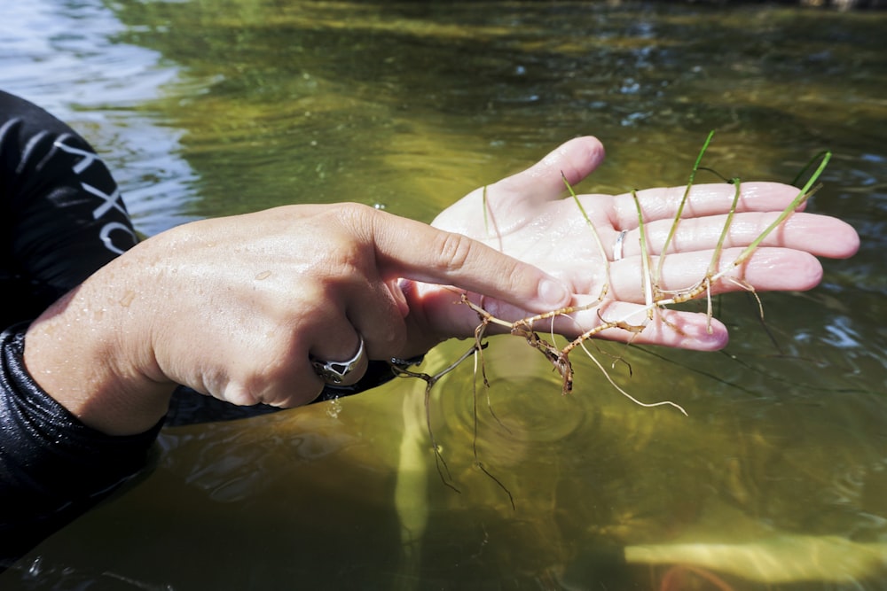 a person holding a fish in water