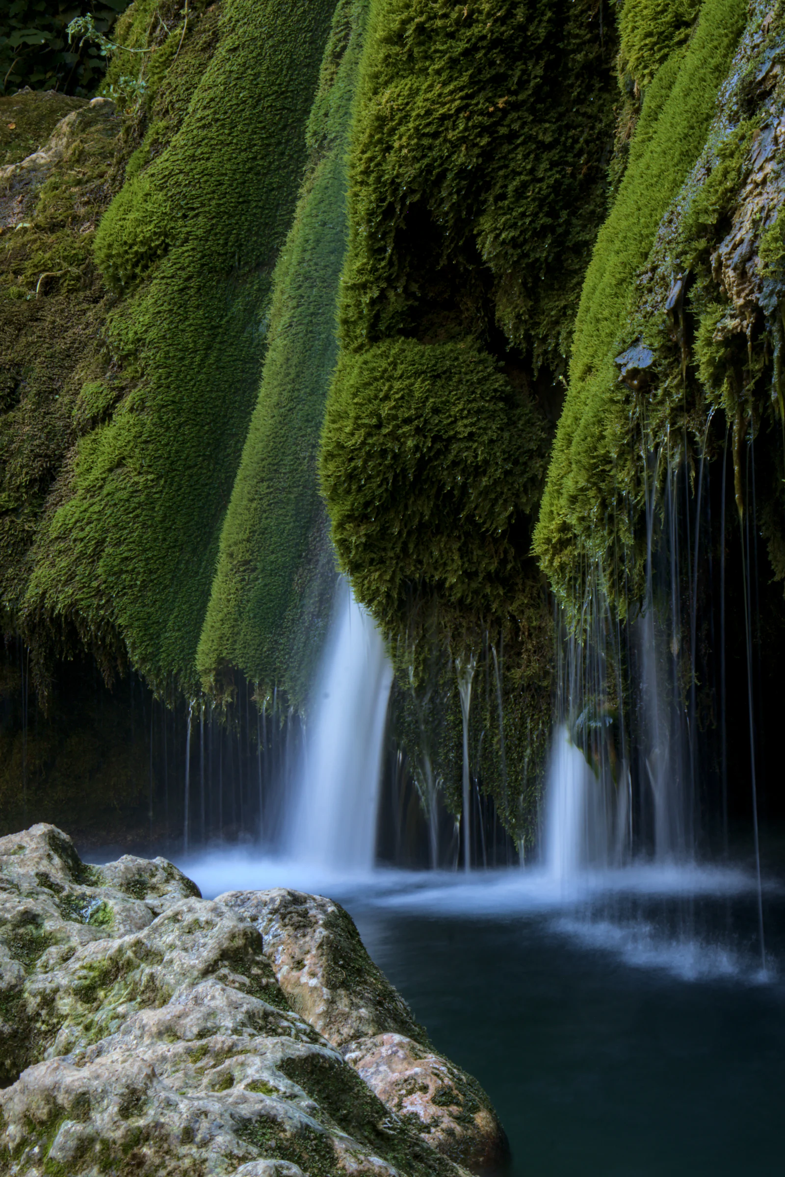 Water falling in a wide curtain down a cliff face thick with moss.