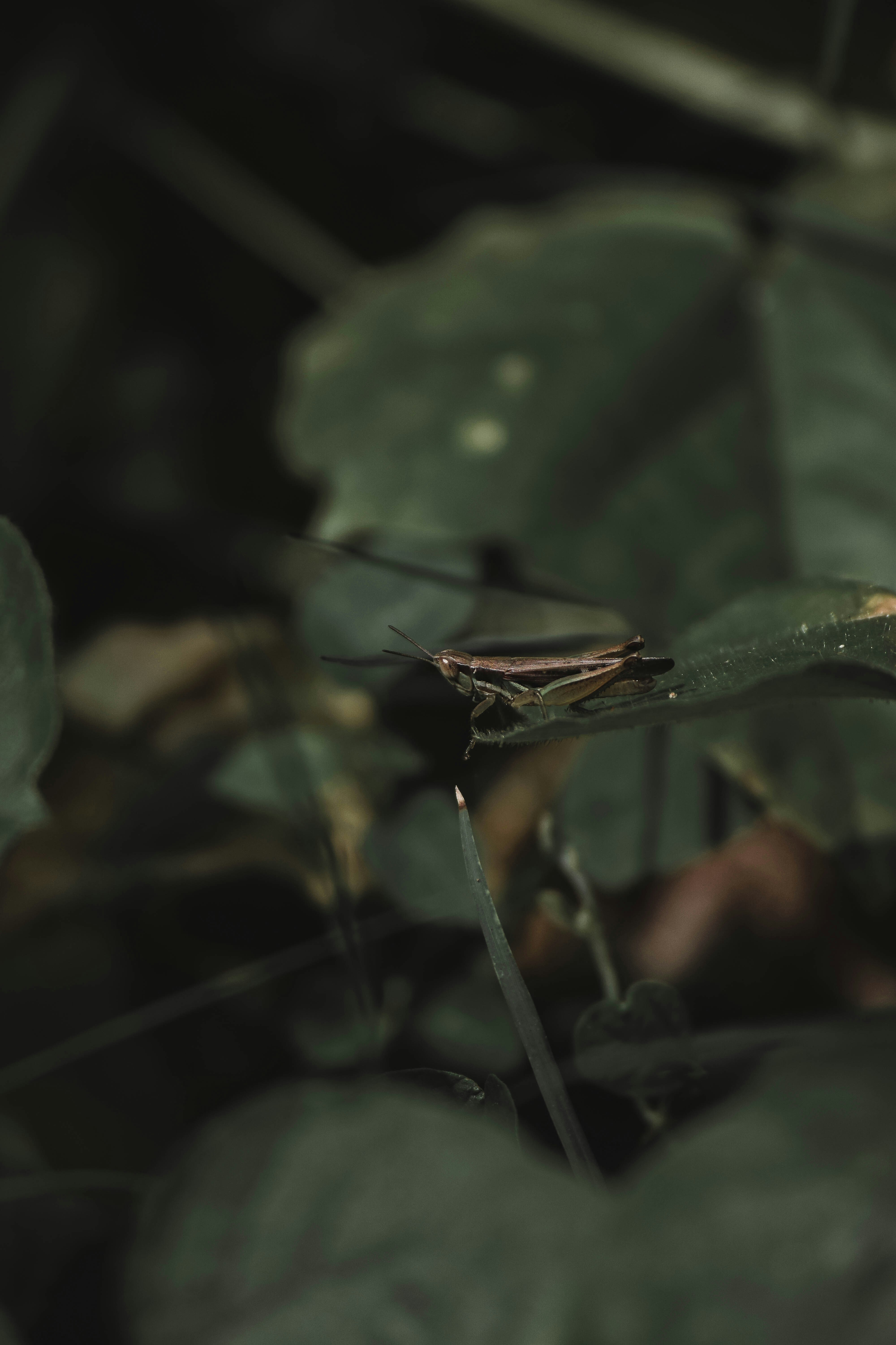 Photo by kamal_anand