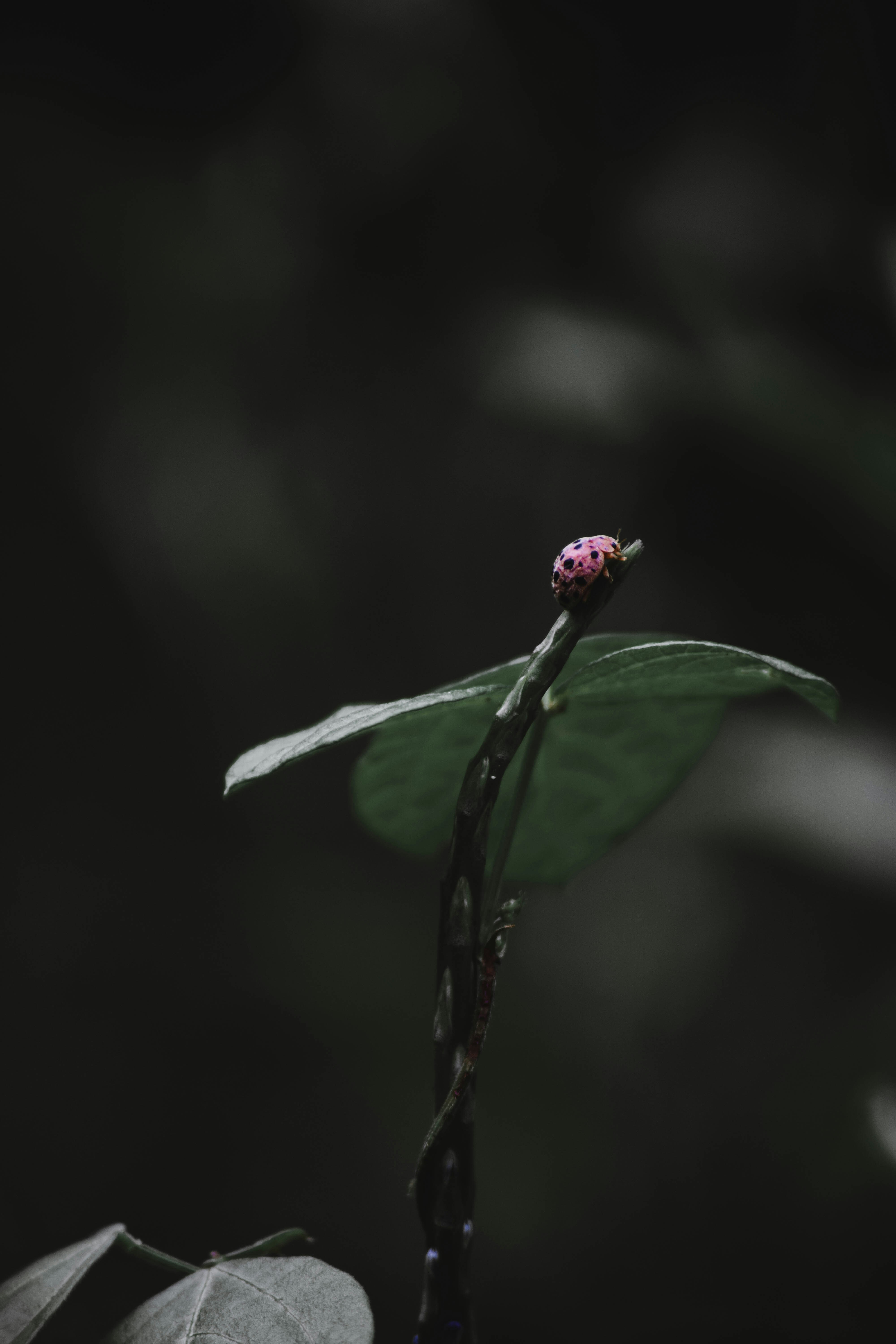 Photo by kamal_anand