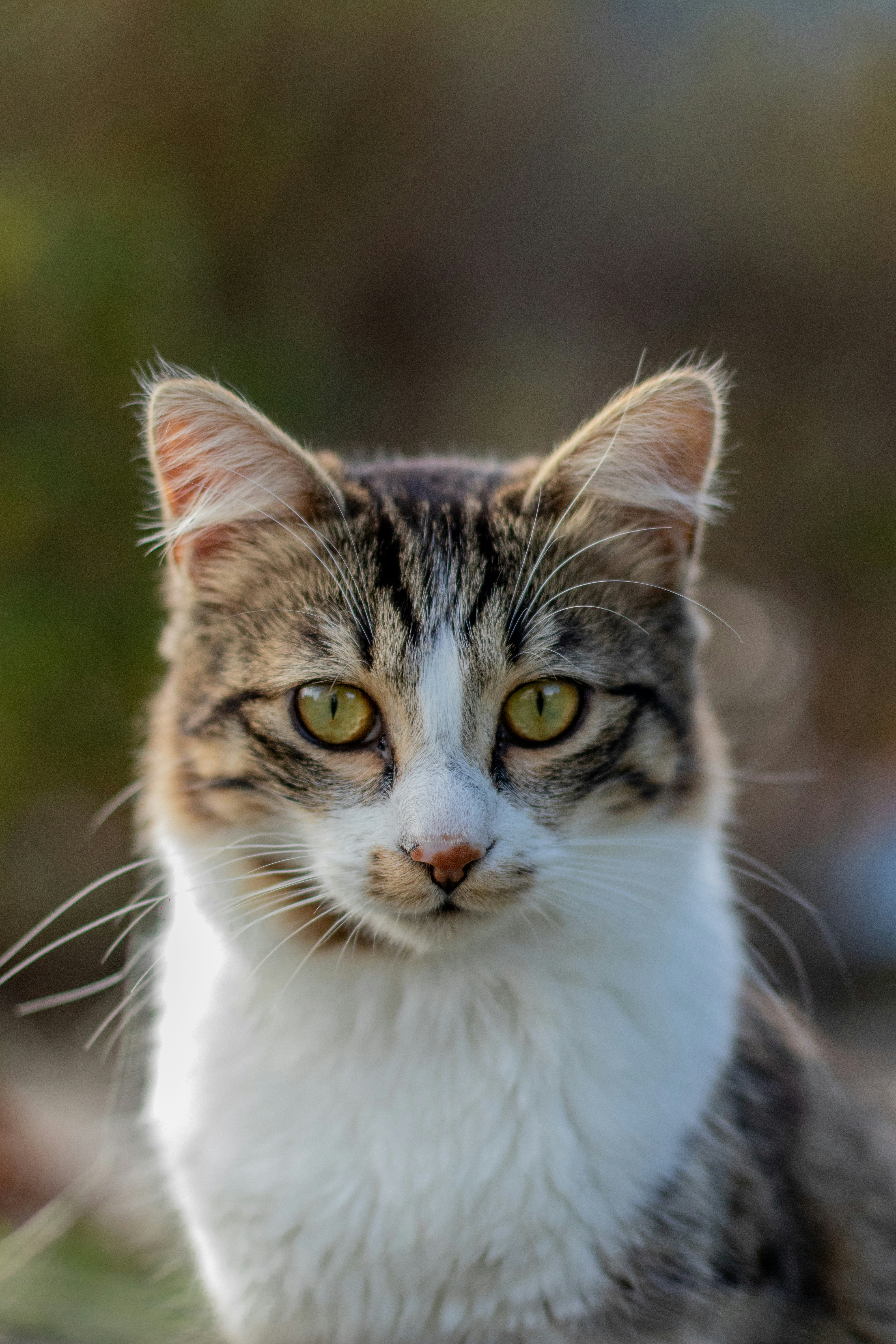 Photo by auriwagmacker