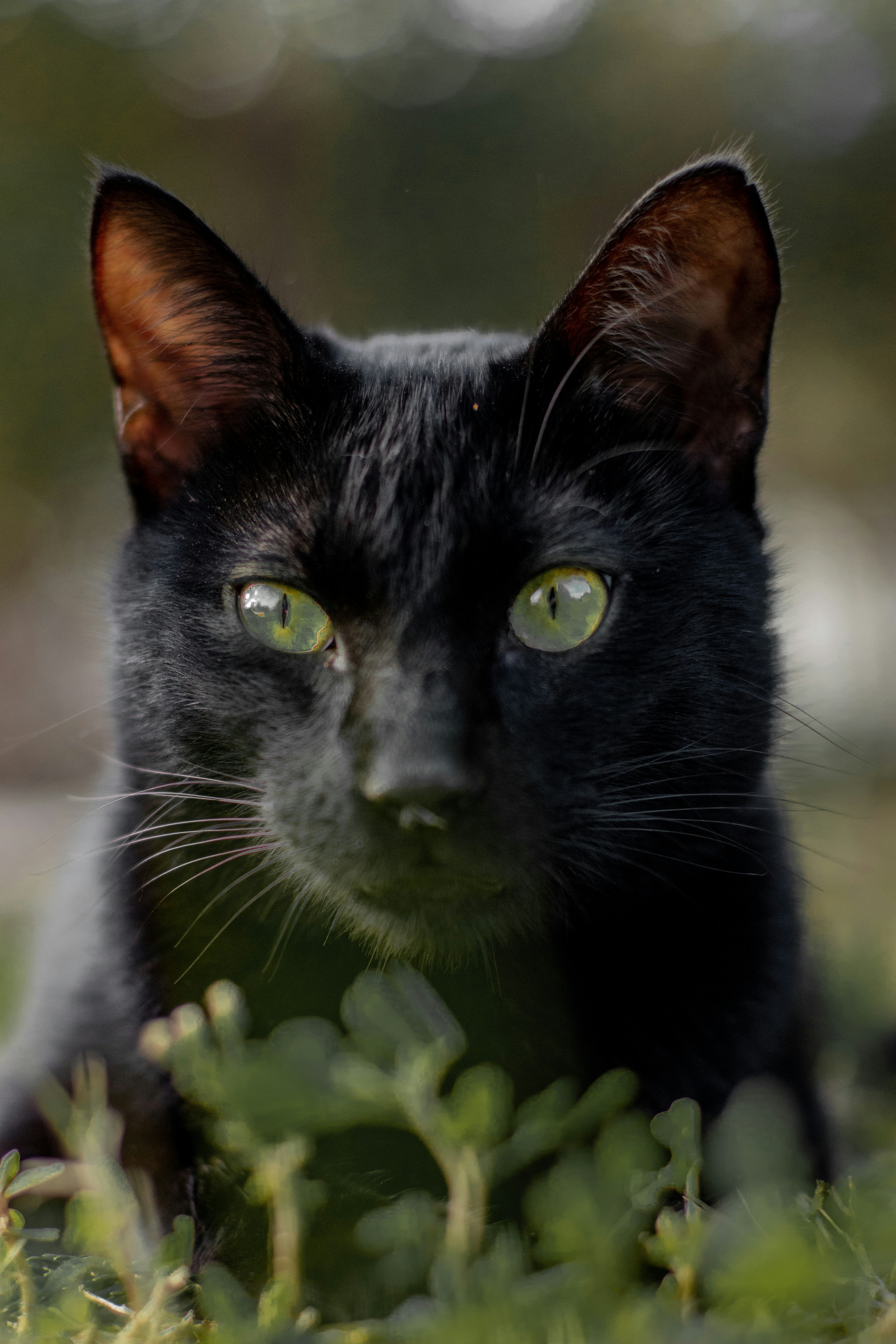 Photo by auriwagmacker