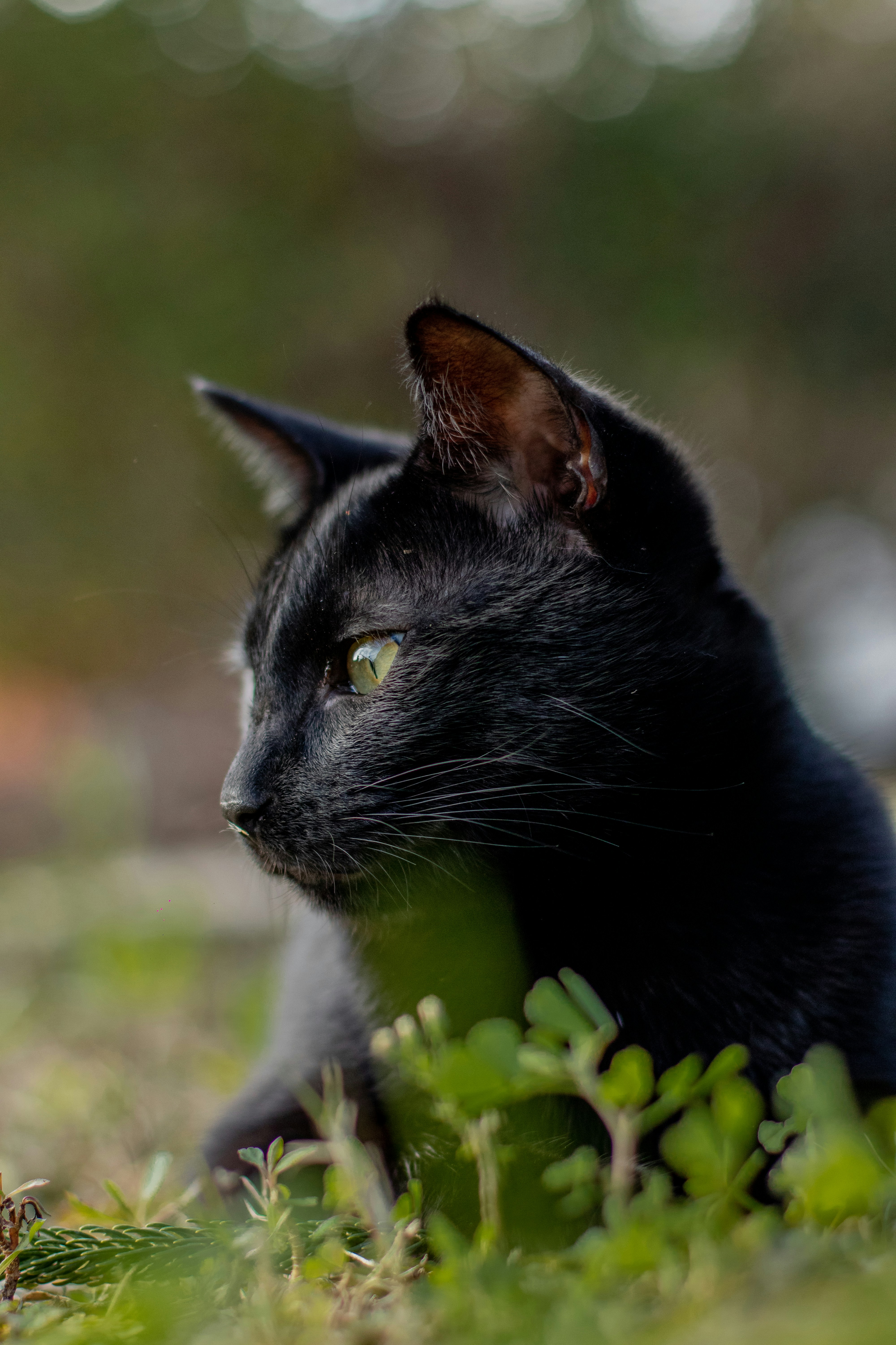 Photo by auriwagmacker