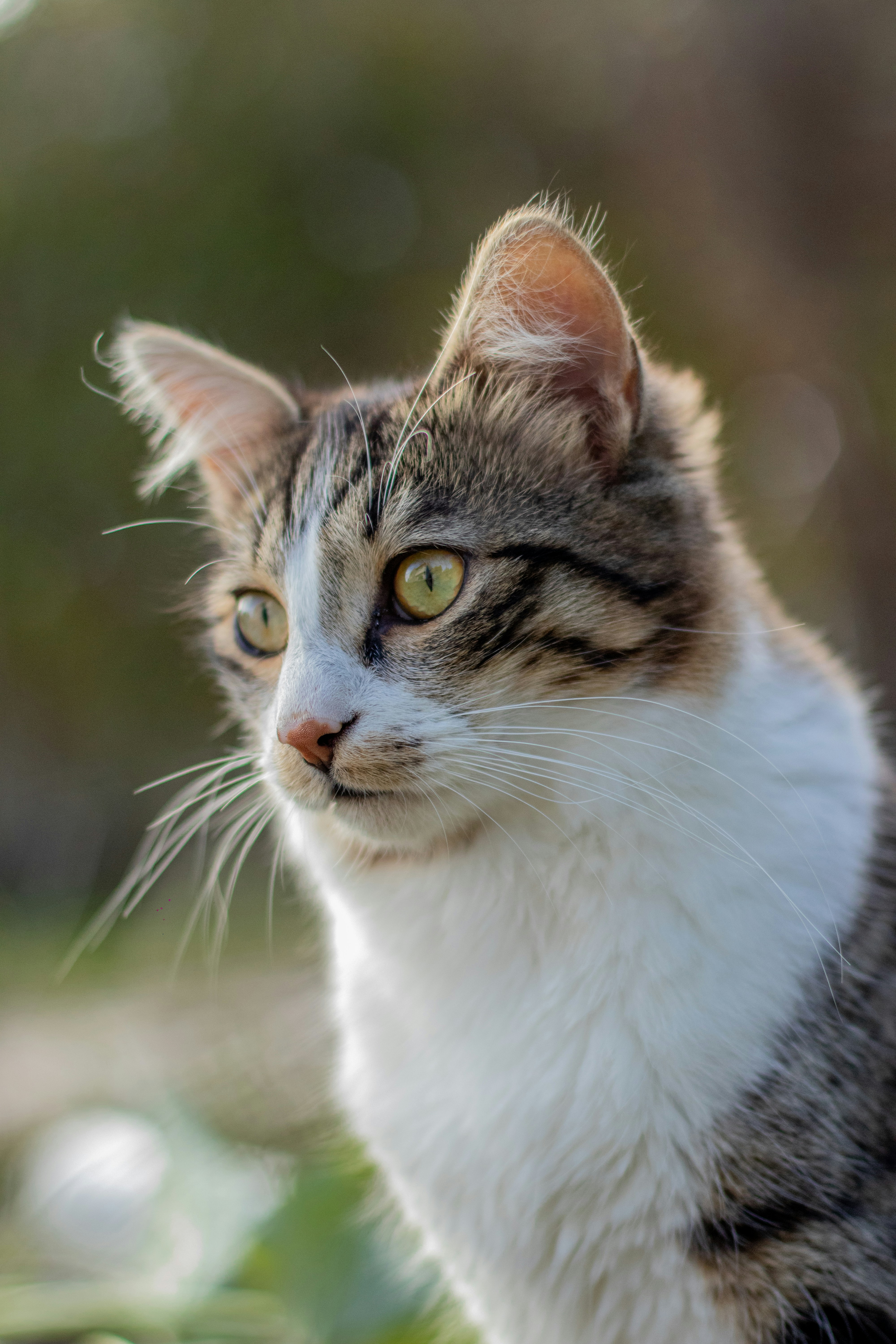 Photo by auriwagmacker