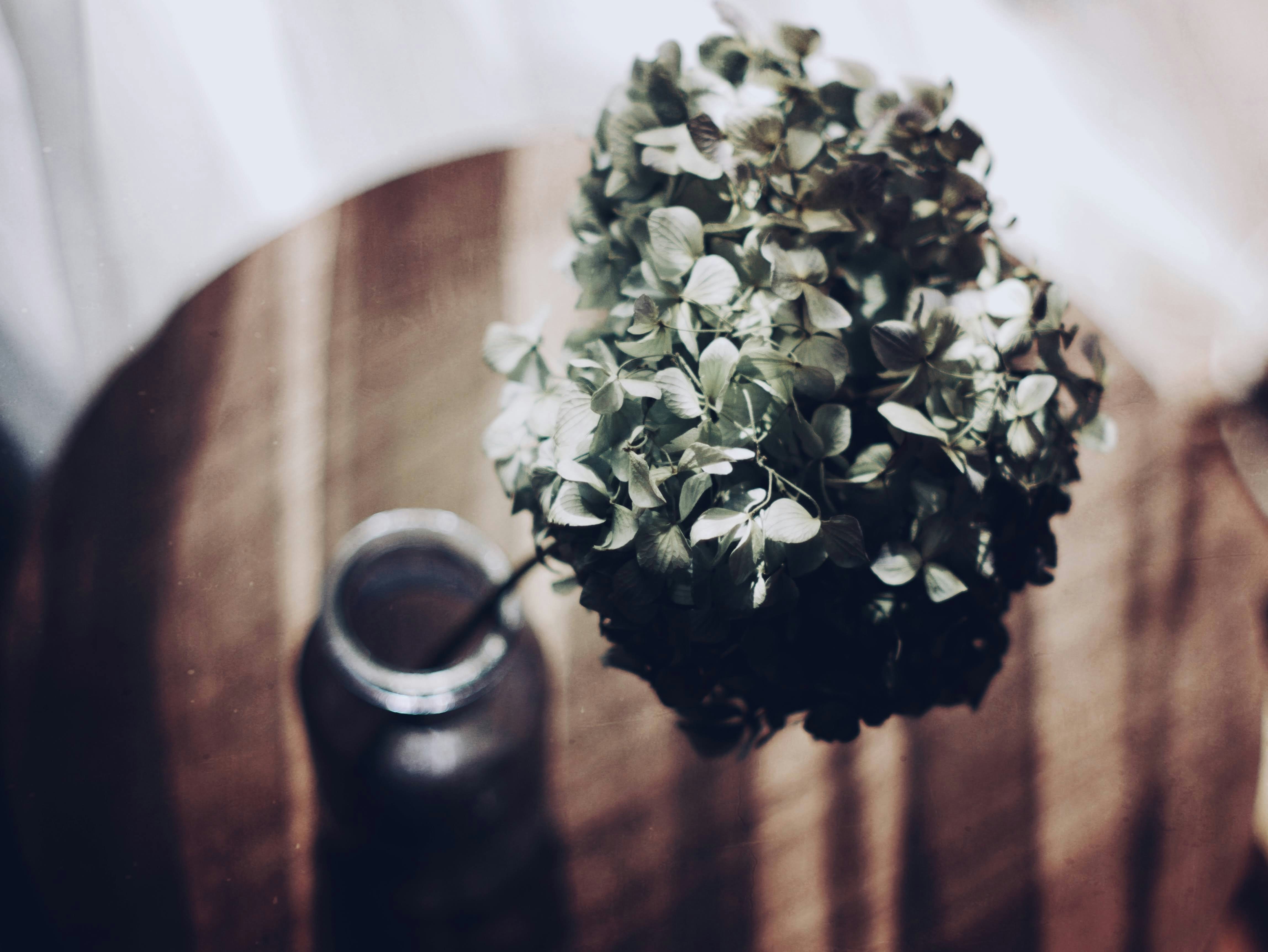 Photo by moon_river_88