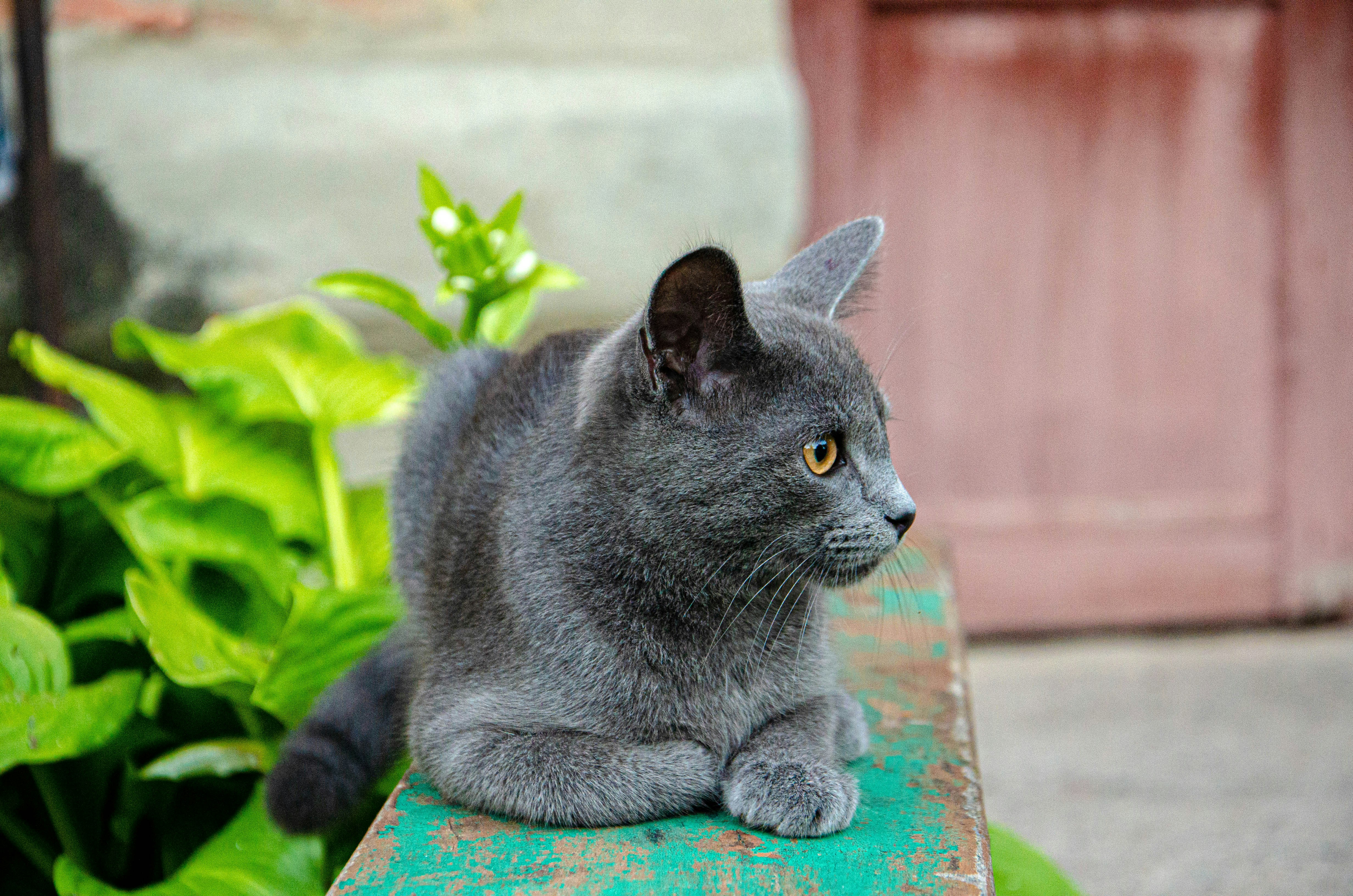 Photo by _florens_spenser_