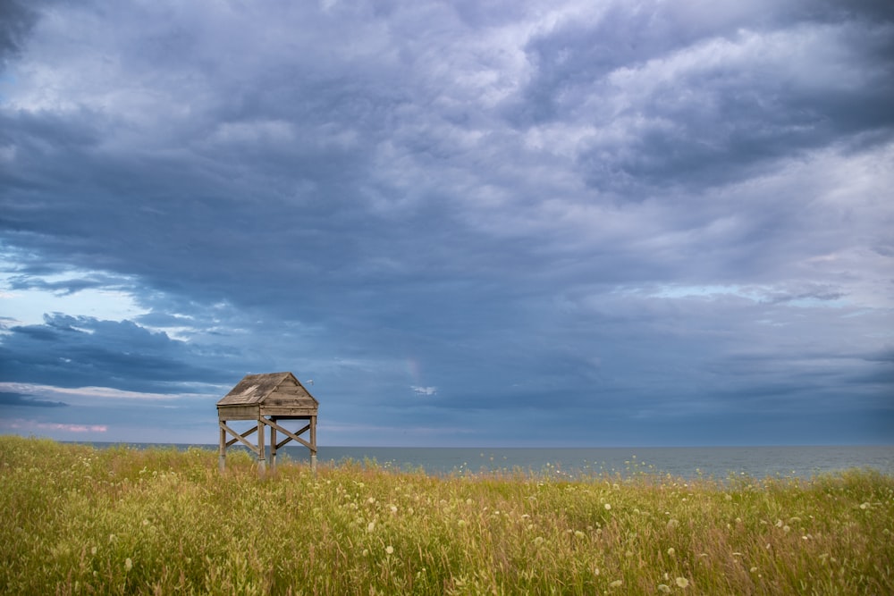 a structure in a field of grass