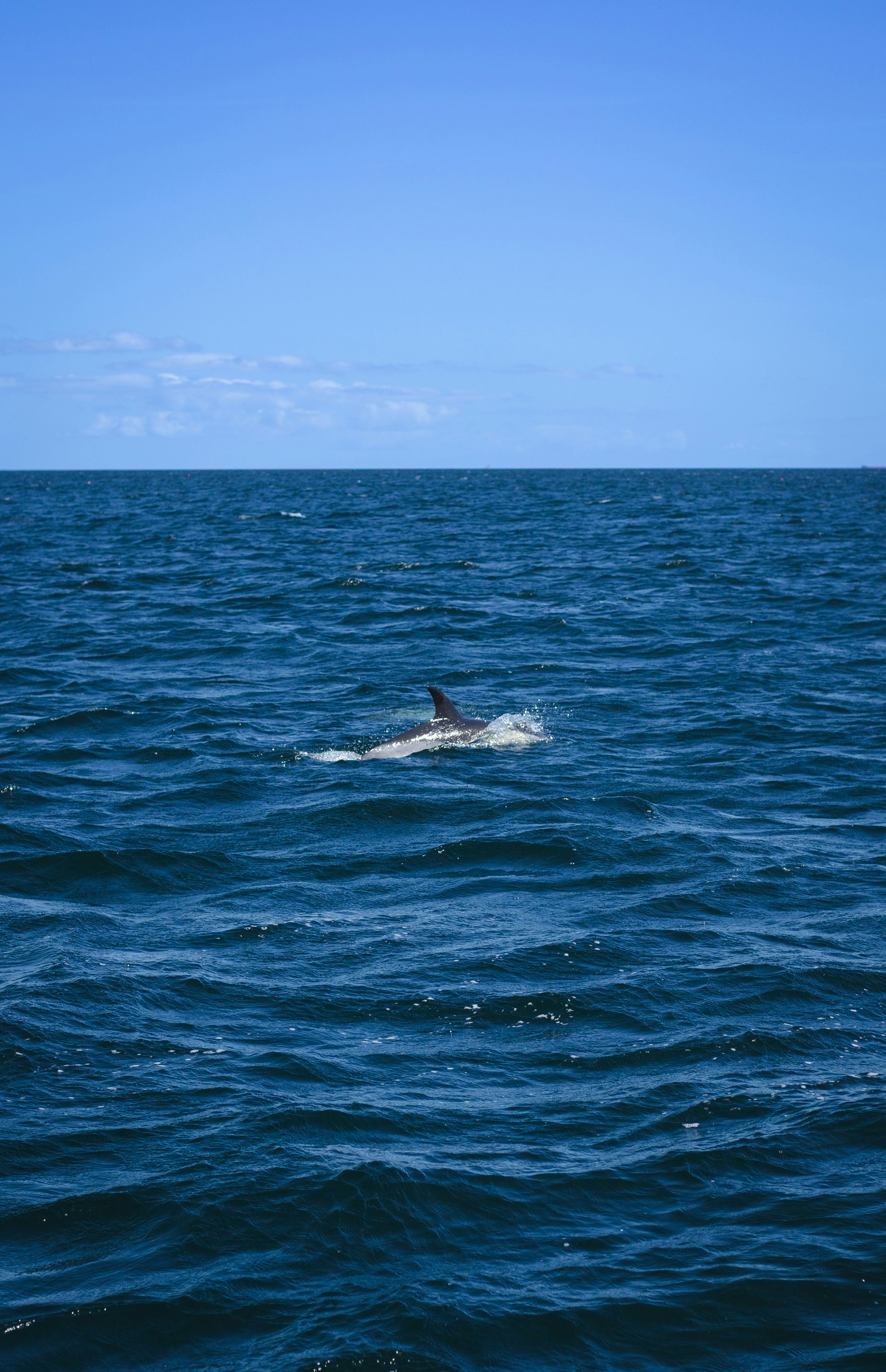 Photo by jake_oates2000