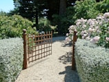 A charming pathway lined with decorative shrubs.