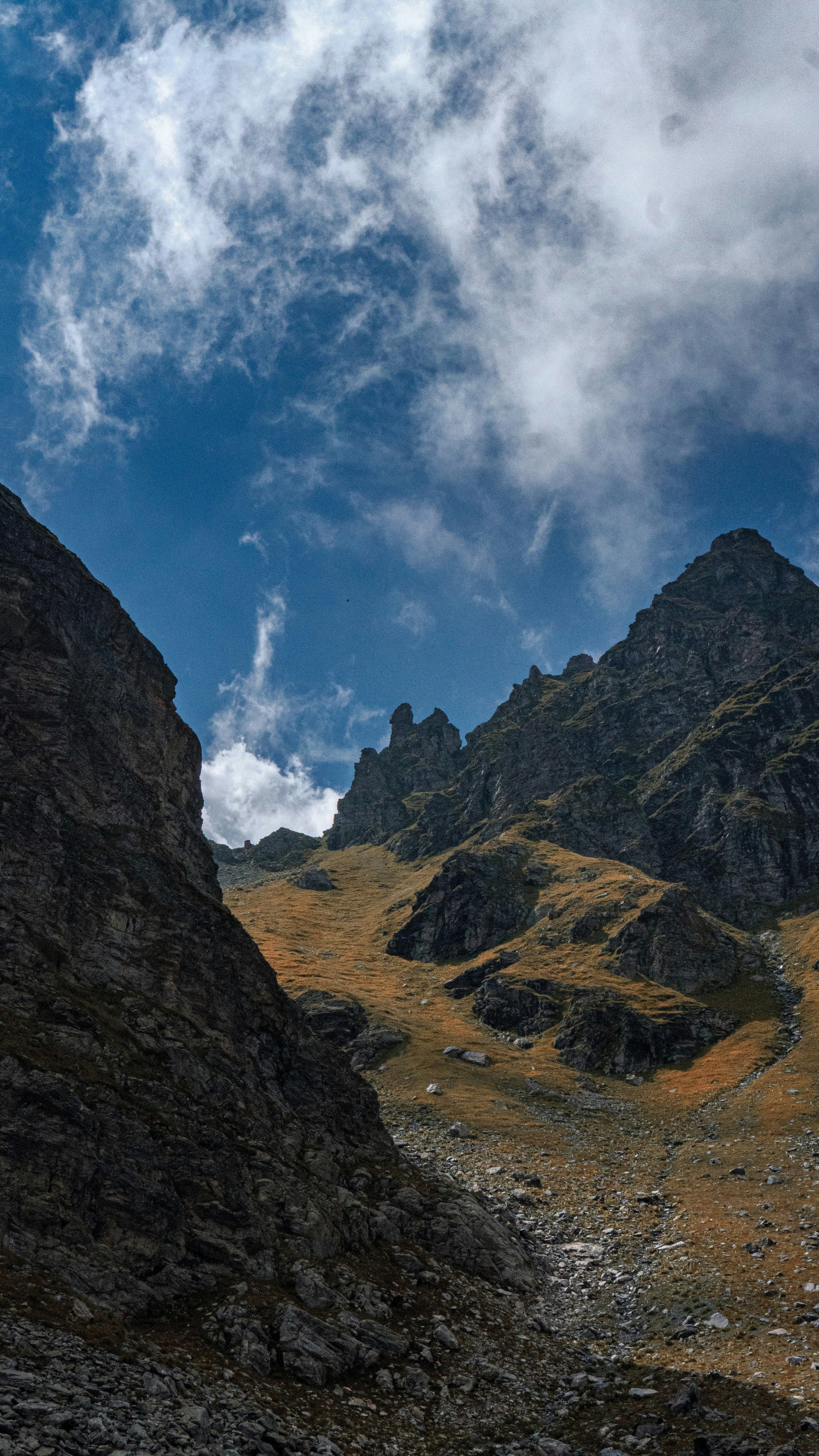 Photo by peter_elijah