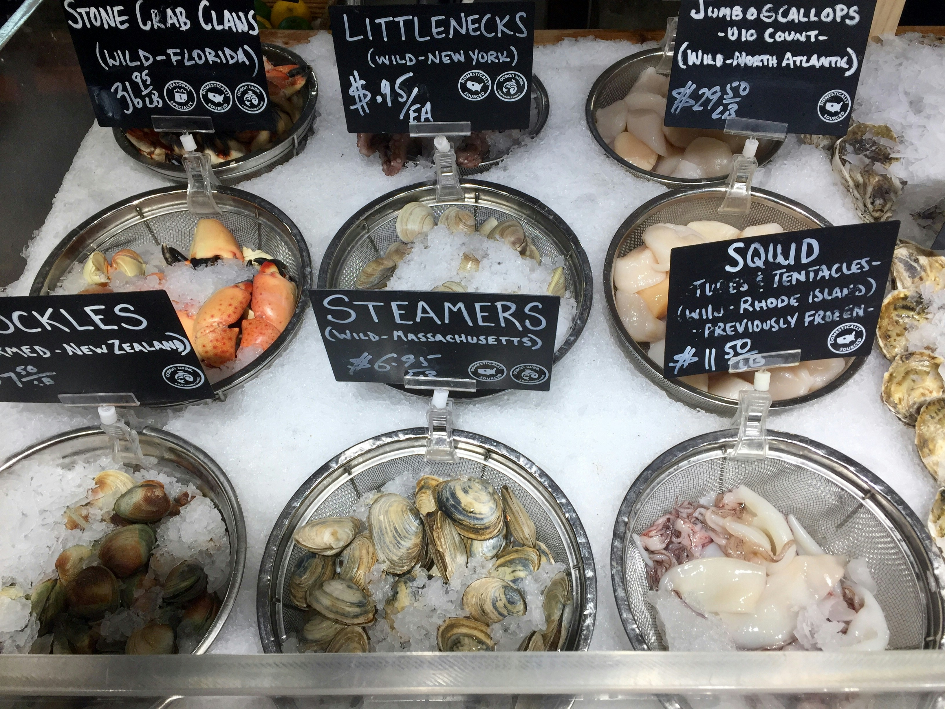 Premium East Indonesia Tuna