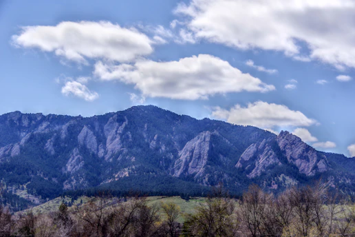 a mountain range with trees