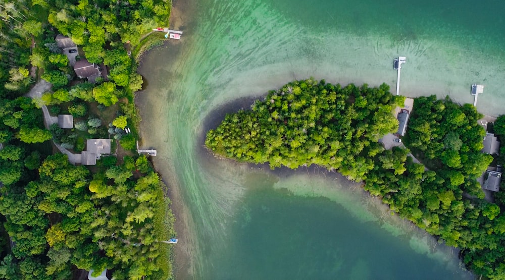 a body of water with trees and buildings around it