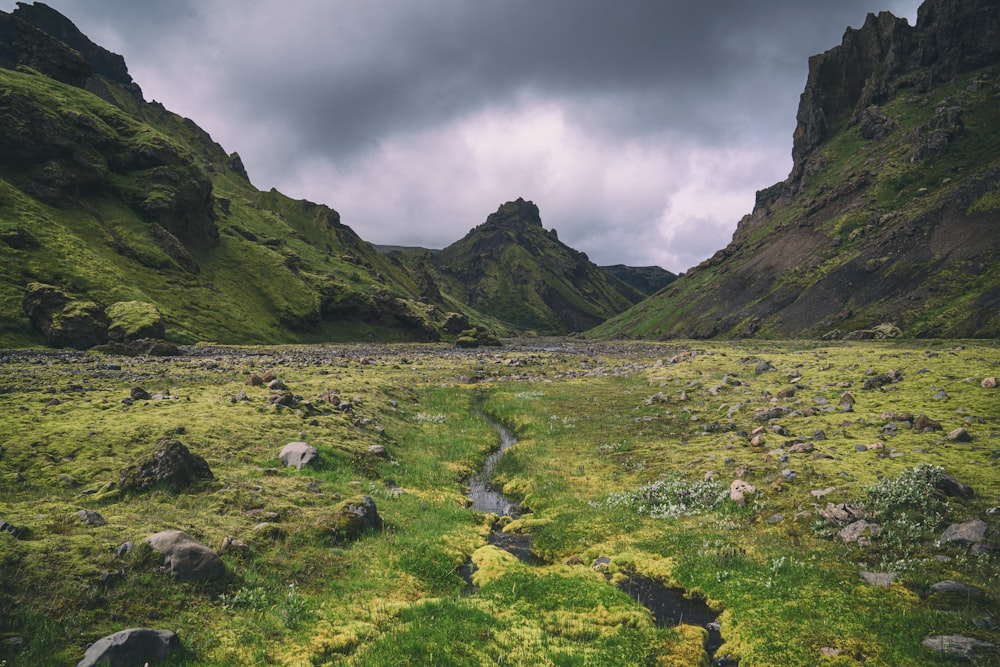 a grassy valley between mountains