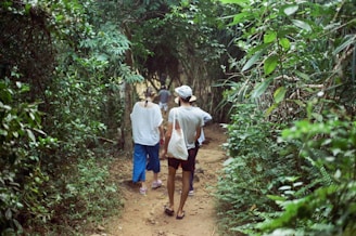 people walking on a path in the woods