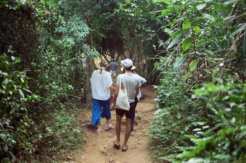 people walking on a path in the woods