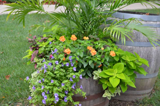 a planter with flowers in it