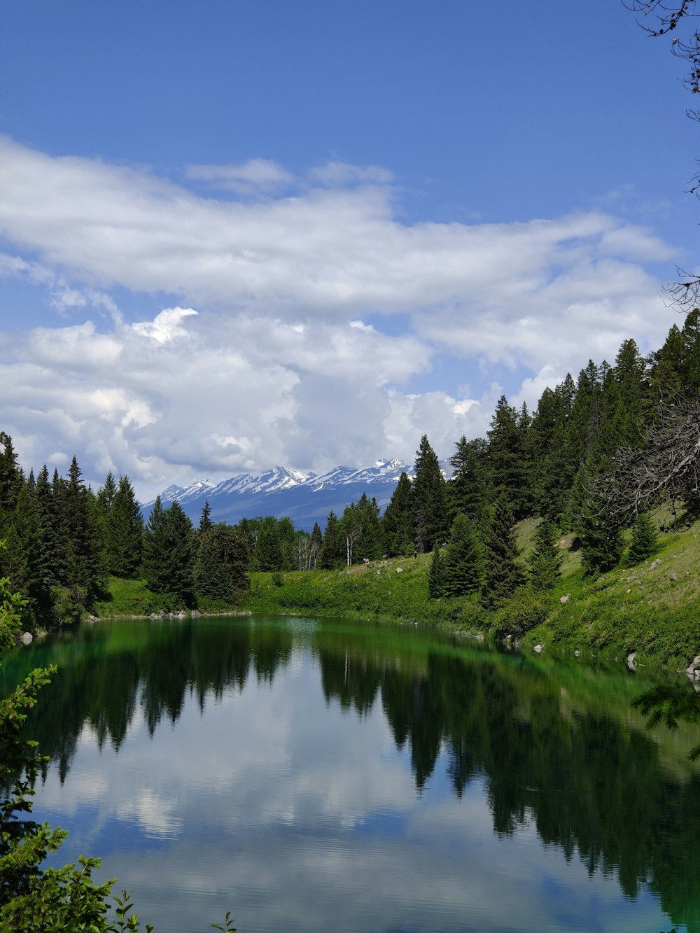 Ein See, umgeben von Bäumen und Bergen