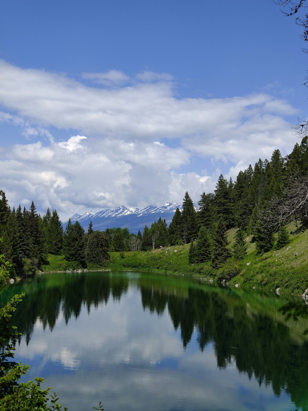 a lake surrounded by trees and mountains