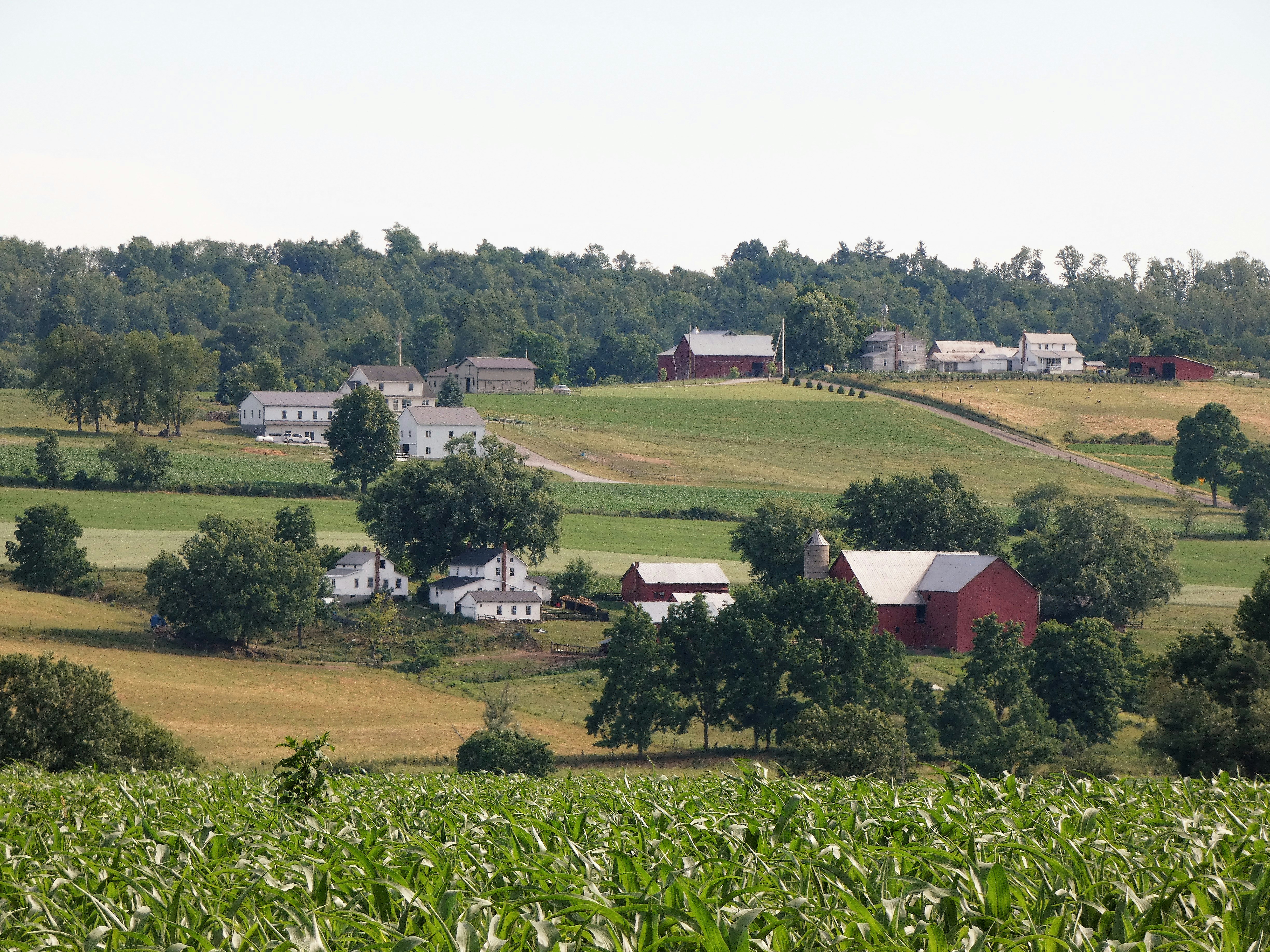 Photo by kimberlymeans