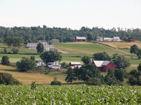 Ohio amish country