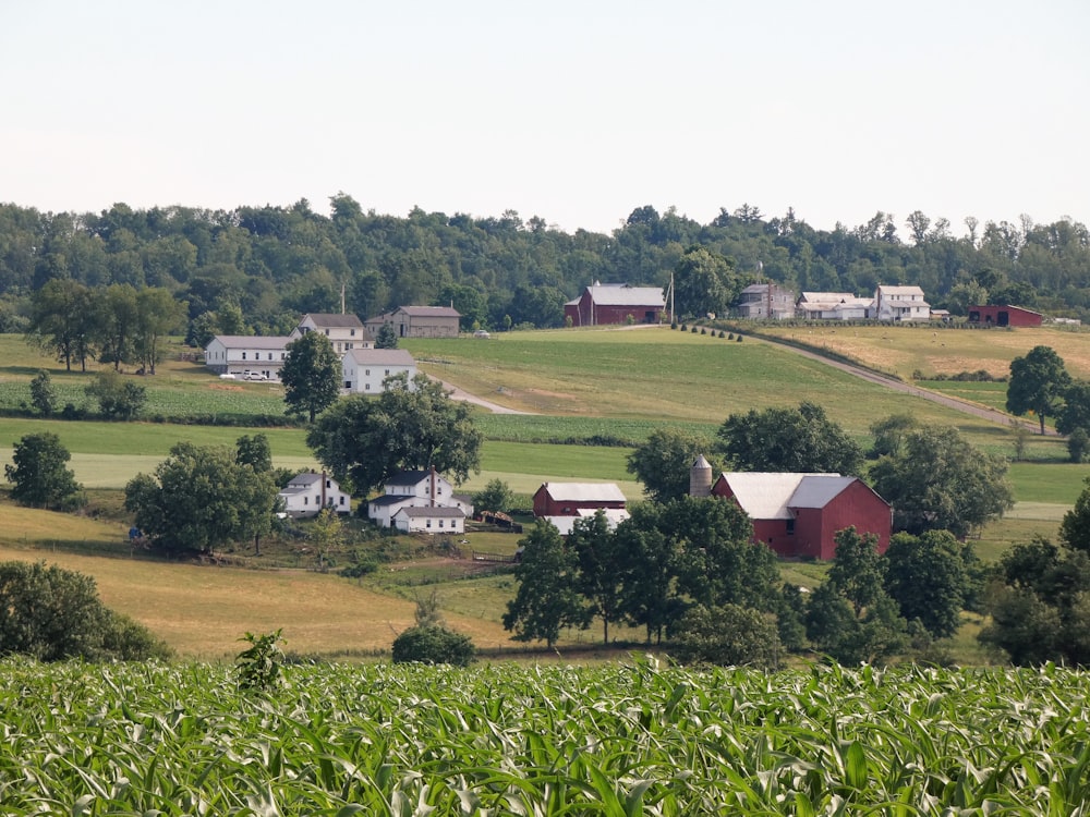 a farm with many buildings