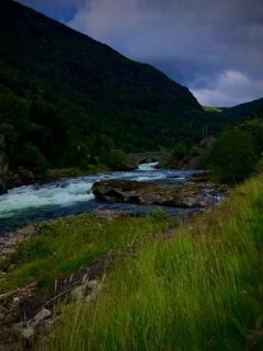 A tranquil river flowing through a picturesque valley in Uttarakhand.