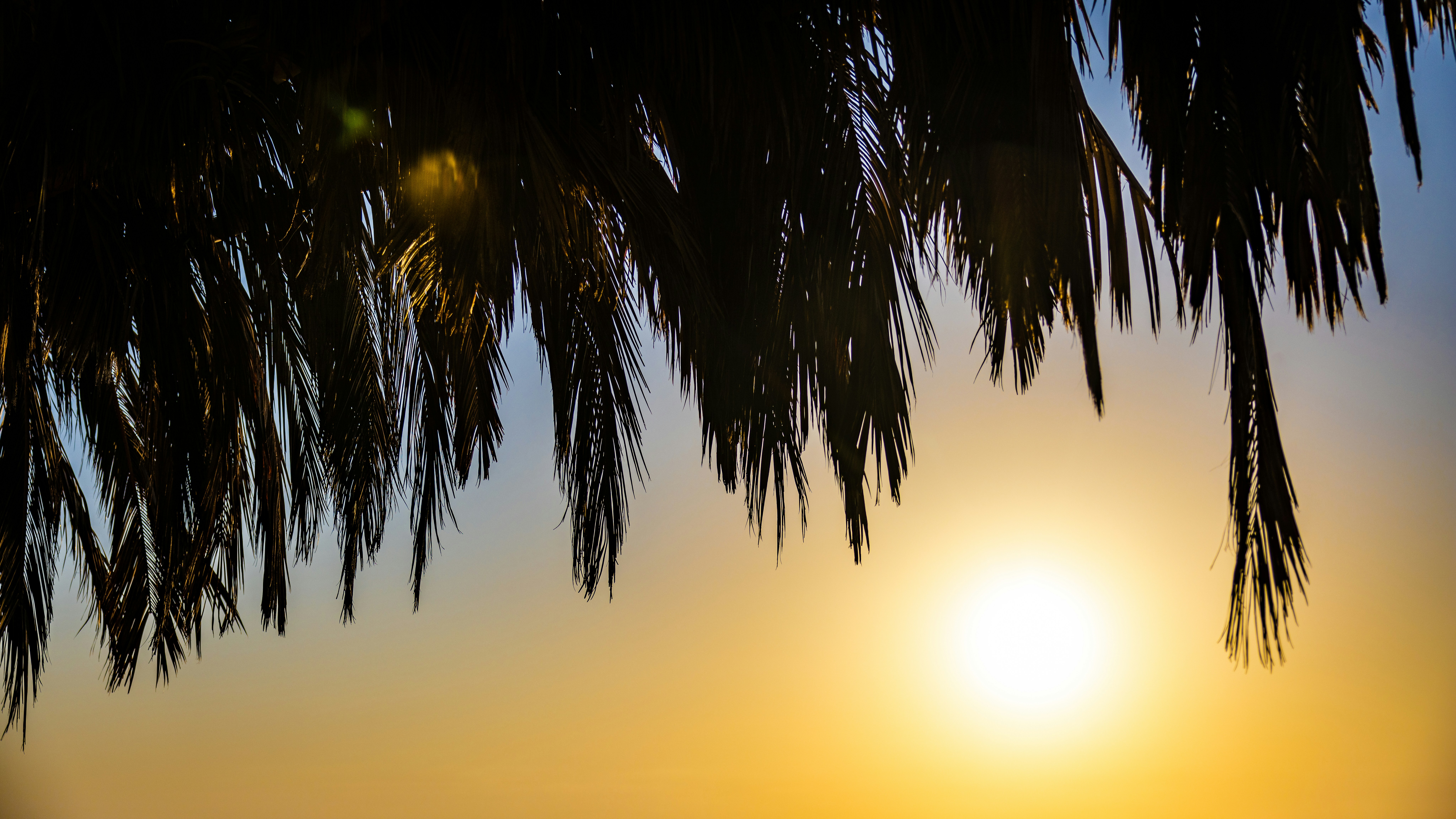 Photo by thetrentonsmith