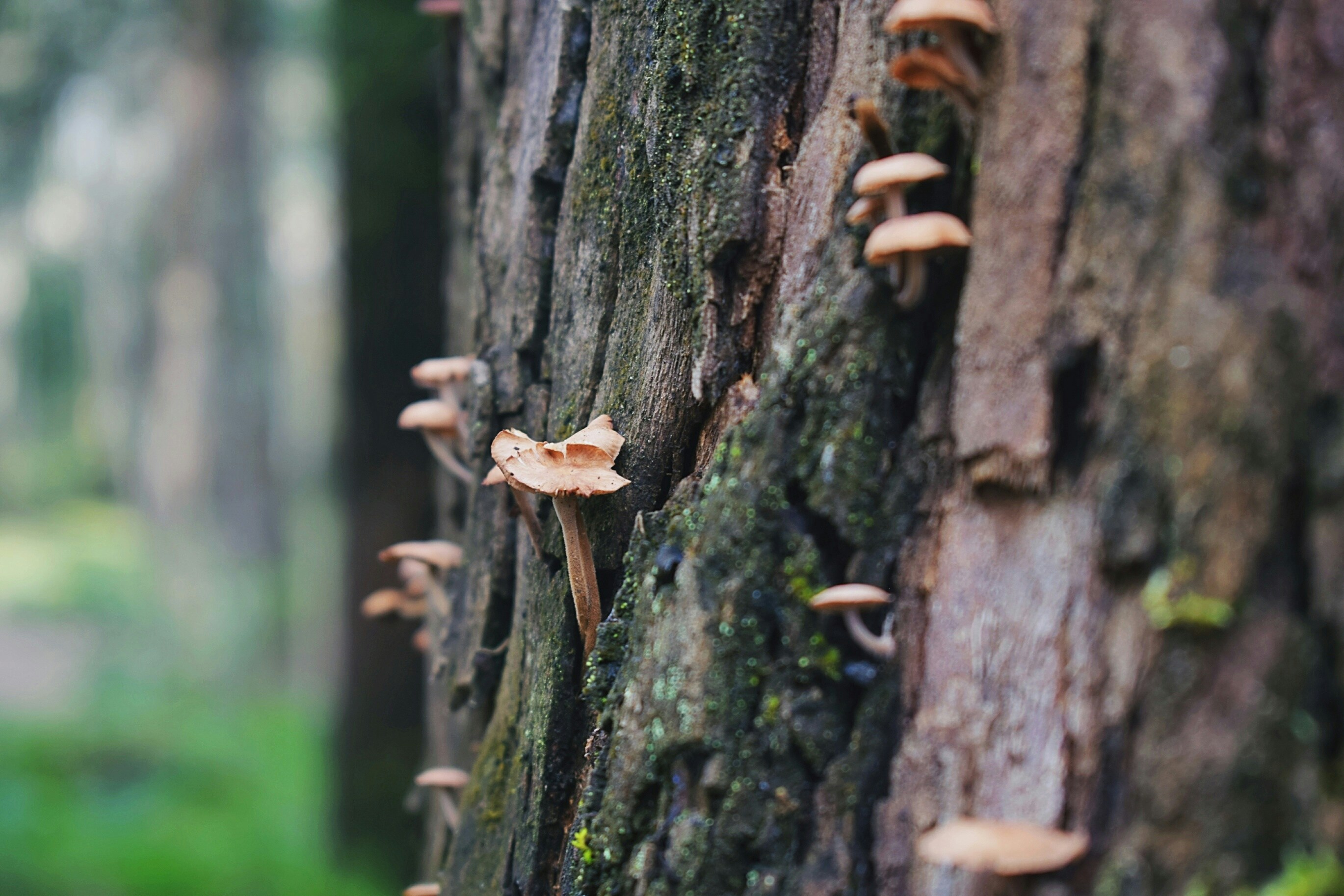 Photo by josh_photo_frames